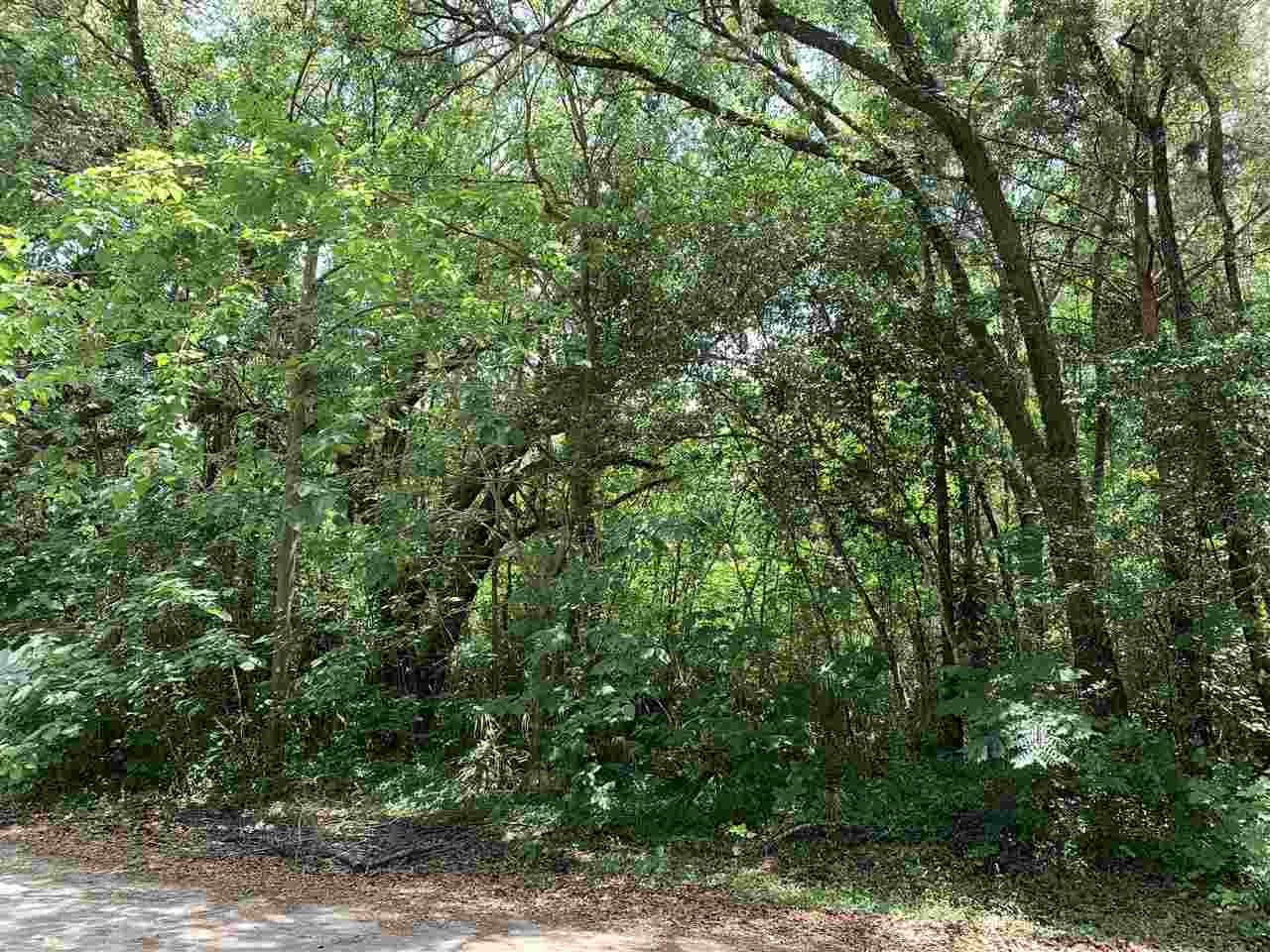 0 East Spring Place Perry, FL 32347 - Photo 5 of 5 Gallery Image 5
