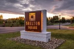 an aerial view of a house with a yard and lake view