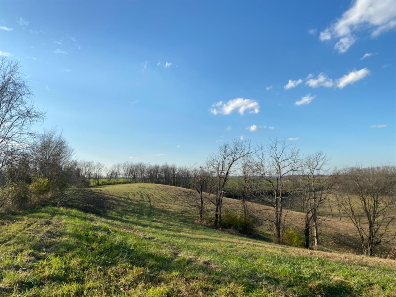 591 Rockridge Road Paris, KY 40361 - Photo 50 of 61 Photo 51