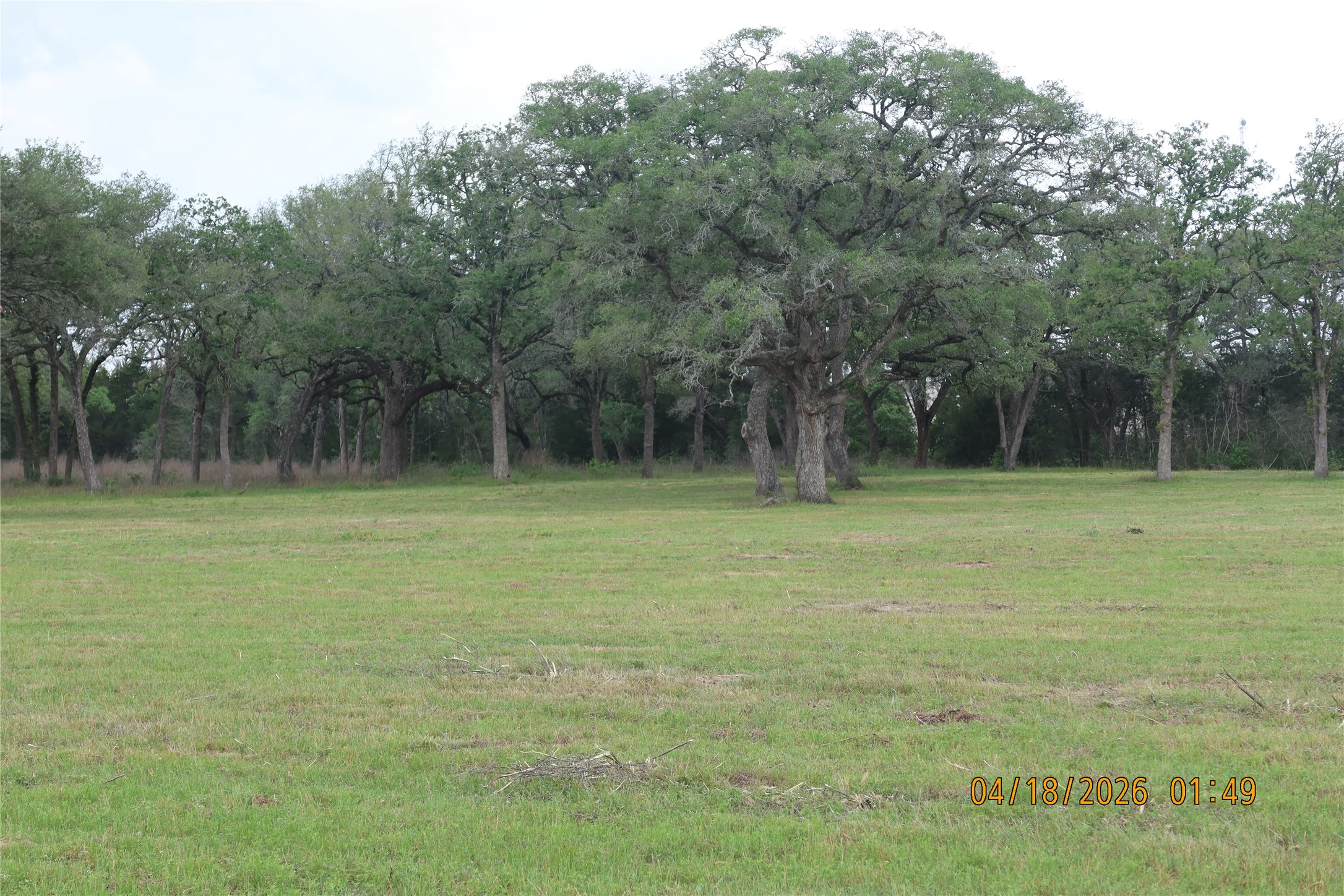 Na Railhead Road Columbus, TX 78934 - Photo 18 of 18