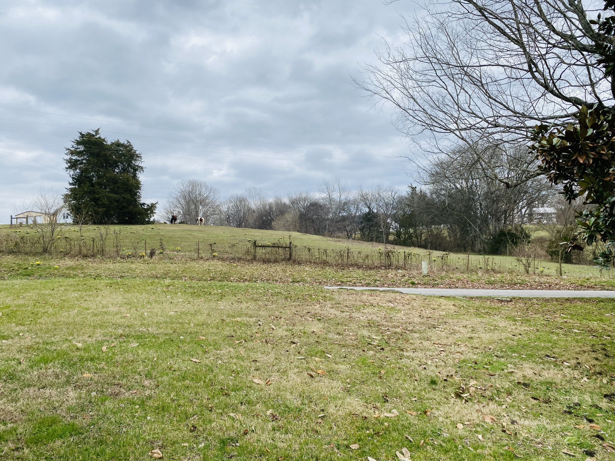 3845 Blackburn Hollow Road Pulaski, TN 38478 - Photo 17 of 20 Gallery Image 17