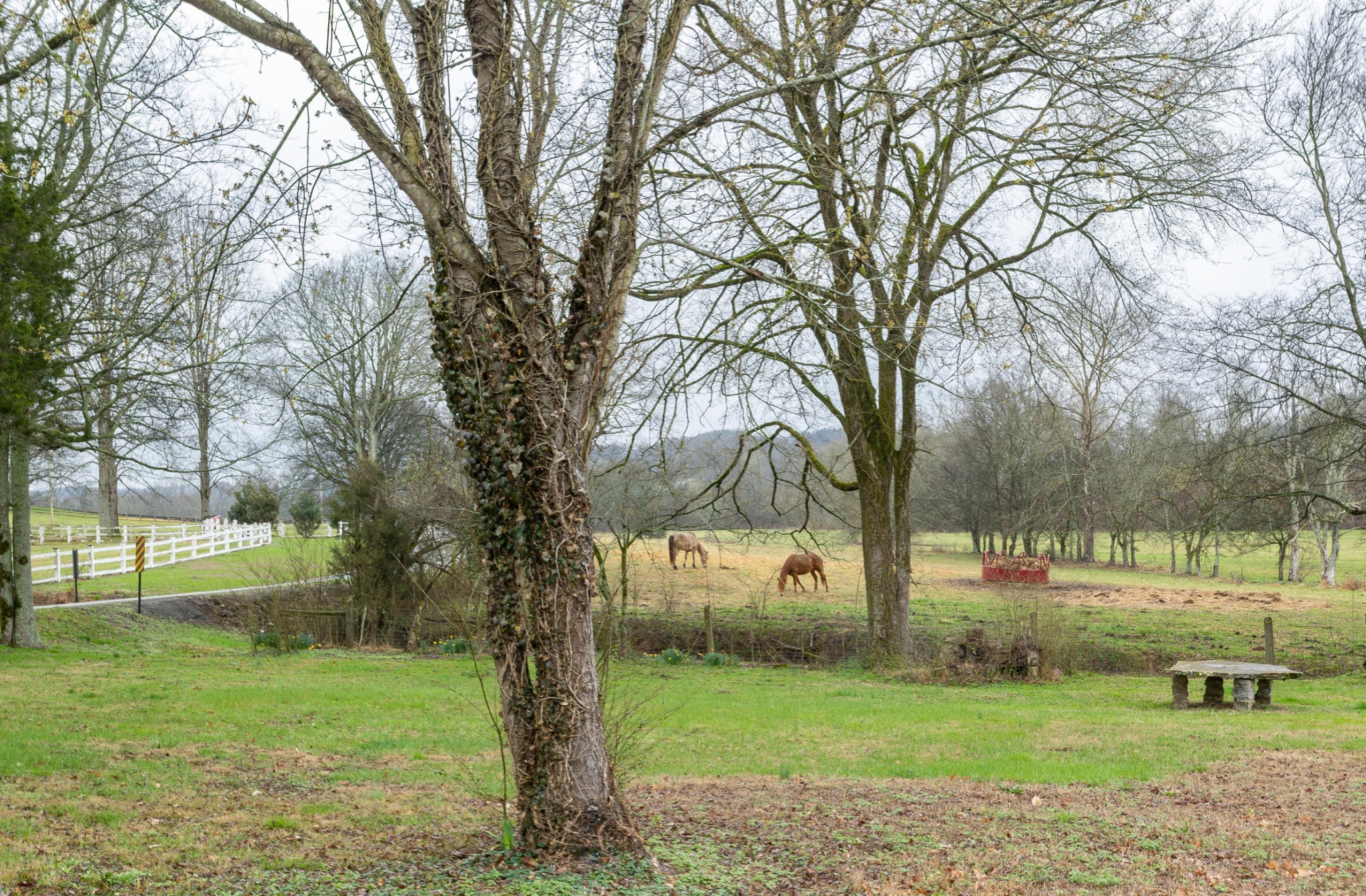 3845 Blackburn Hollow Road Pulaski, TN 38478 - Photo 20 of 20 Gallery Image 20