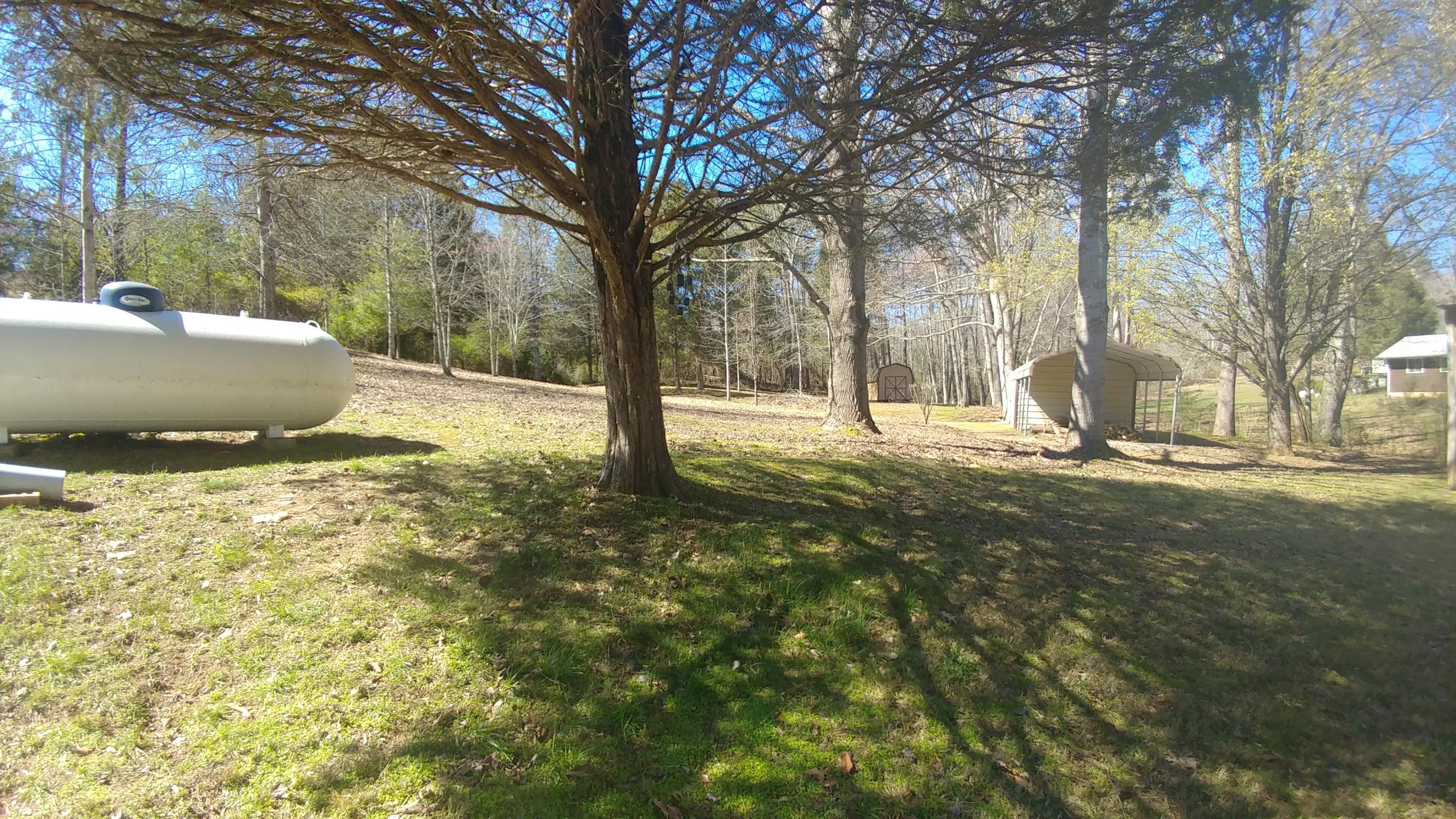 8269 Toestring Valley Road Spring City, TN 37381 - Photo 22 of 36 looking into back yard