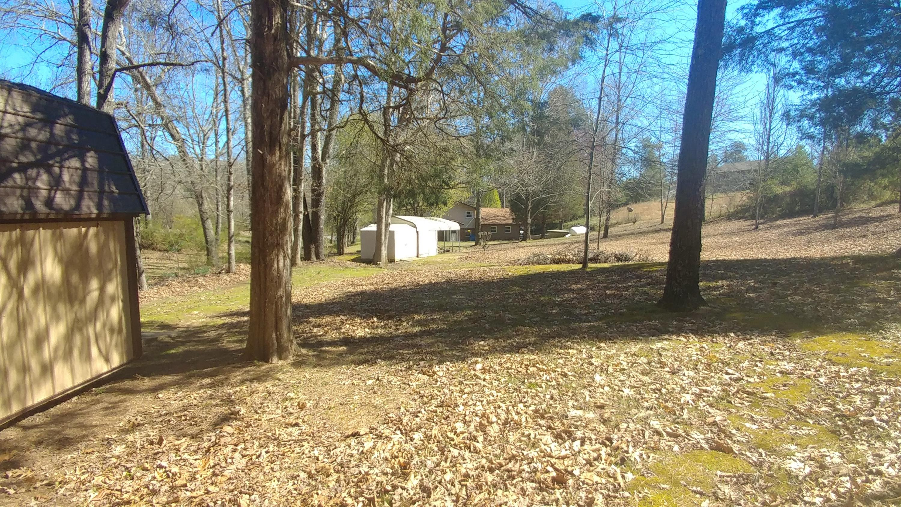 8269 Toestring Valley Road Spring City, TN 37381 - Photo 30 of 36 Looking full property