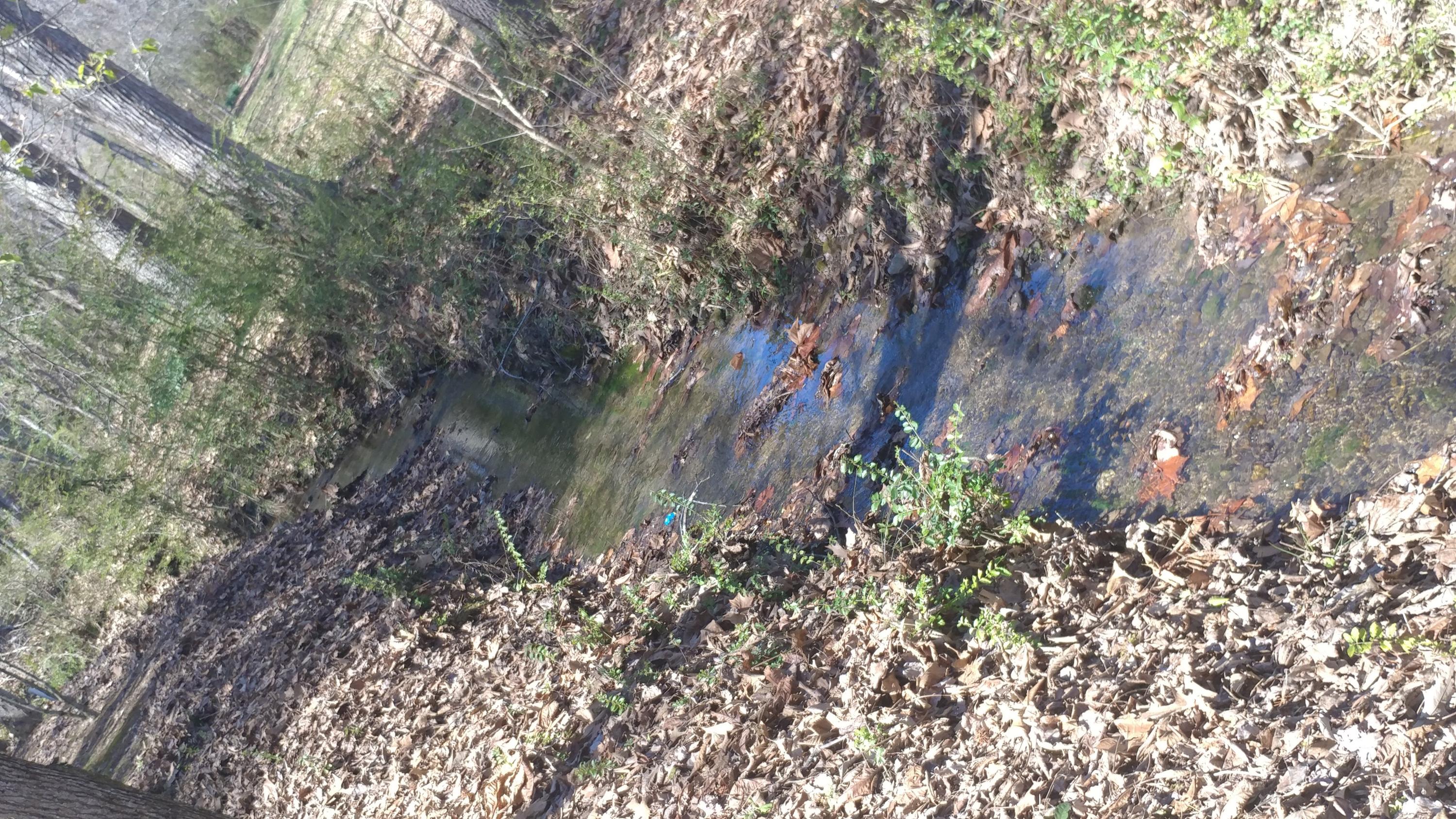 8269 Toestring Valley Road Spring City, TN 37381 - Photo 31 of 36 Creek runs along property line