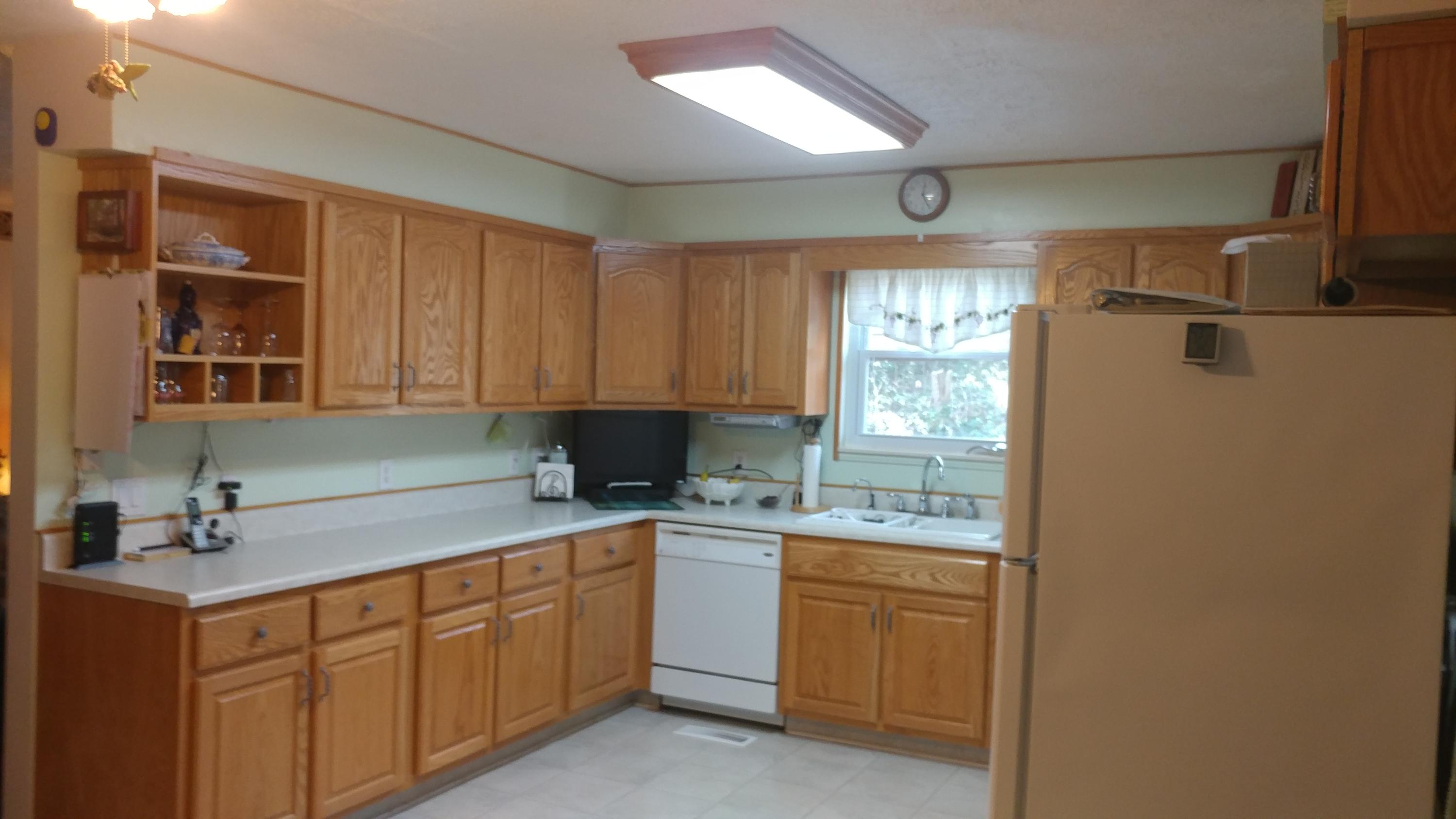 8269 Toestring Valley Road Spring City, TN 37381 - Photo 8 of 36 kitchen