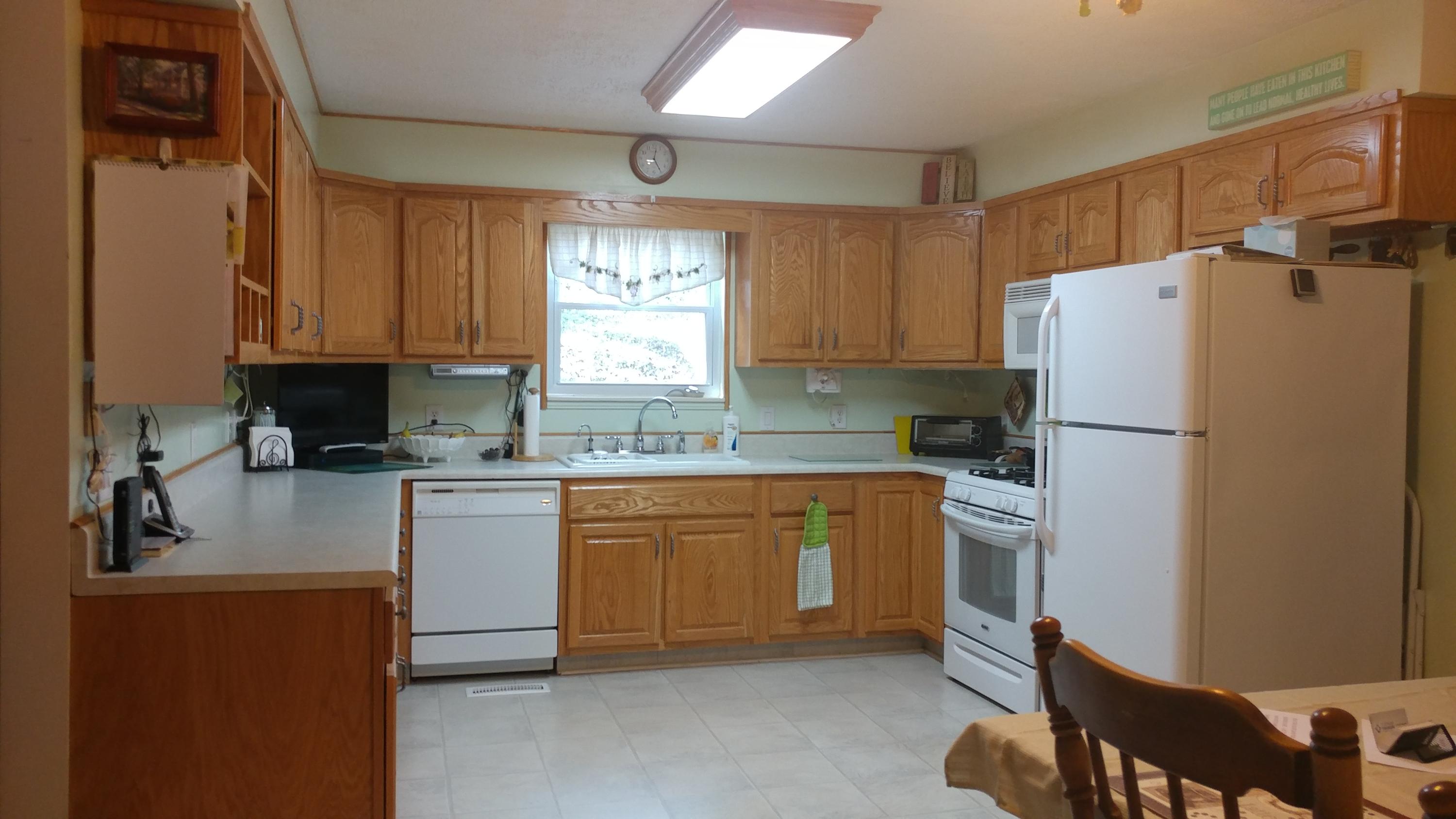 8269 Toestring Valley Road Spring City, TN 37381 - Photo 9 of 36 kitchen