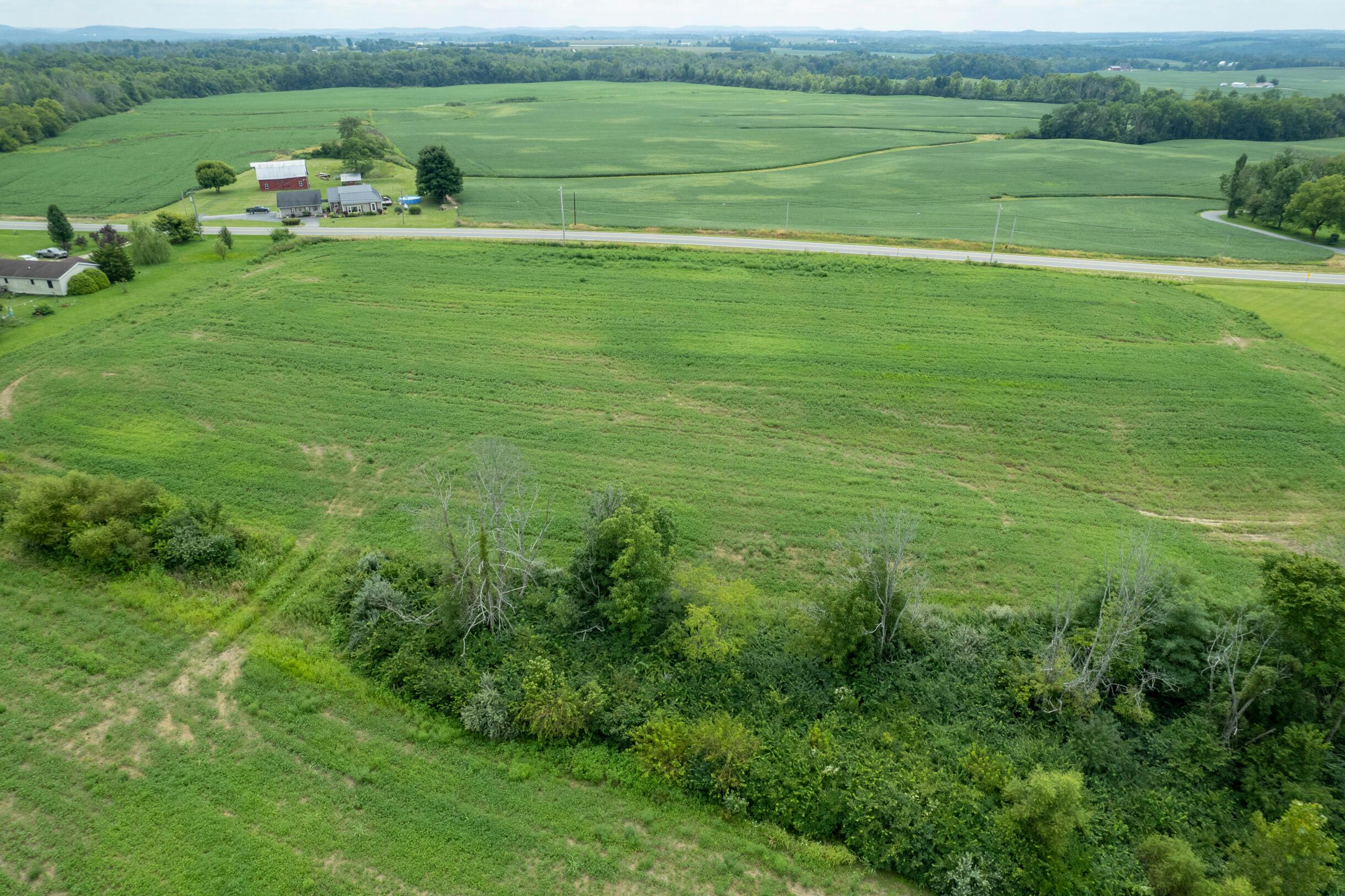 12560 Miami Trace Road Greenfield, OH 45123 - Photo 9 of 11 12560MiamiTraceRd-40Ac-9