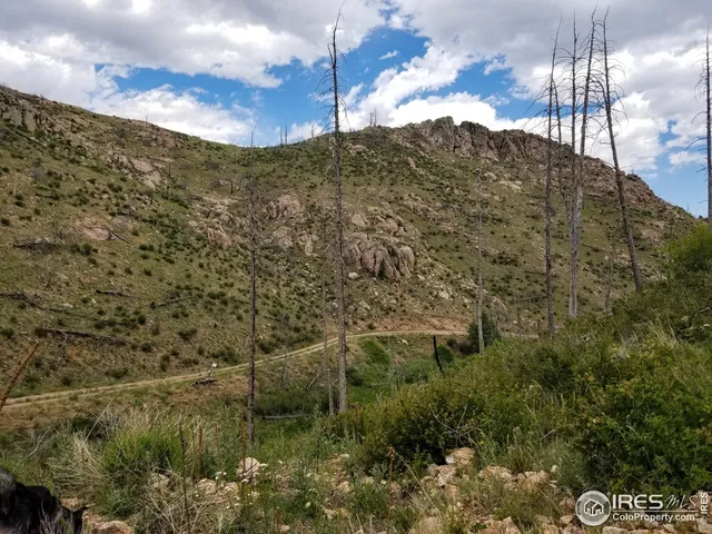 a view of a back yard of a building