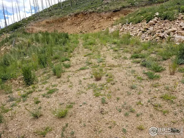 a view of a dry yard with wooden fence