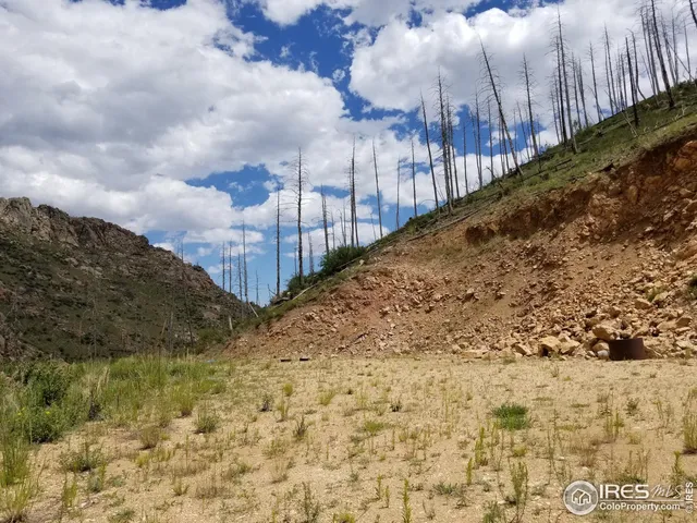 a view of a dry yard with wooden fence