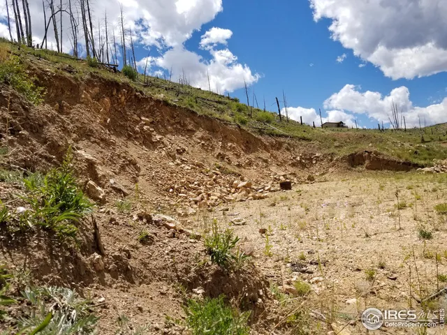 a view of a backyard with plants and a patio