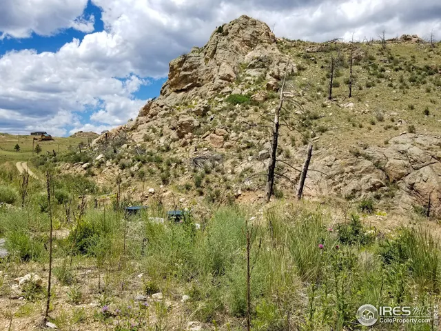 a view of a large yard