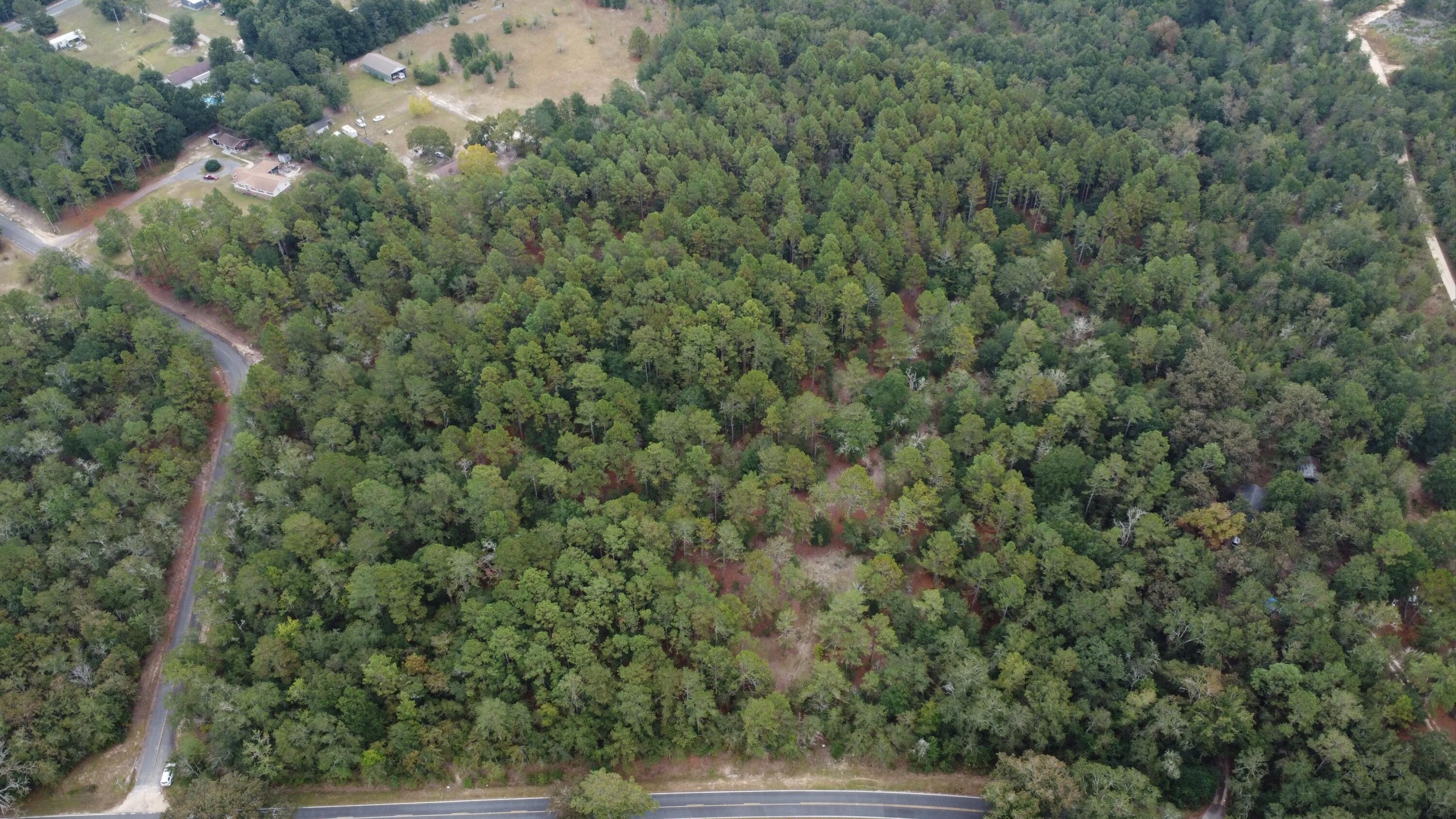 0 Holiness Church Road Wagener, SC 29164 - Photo 2 of 6