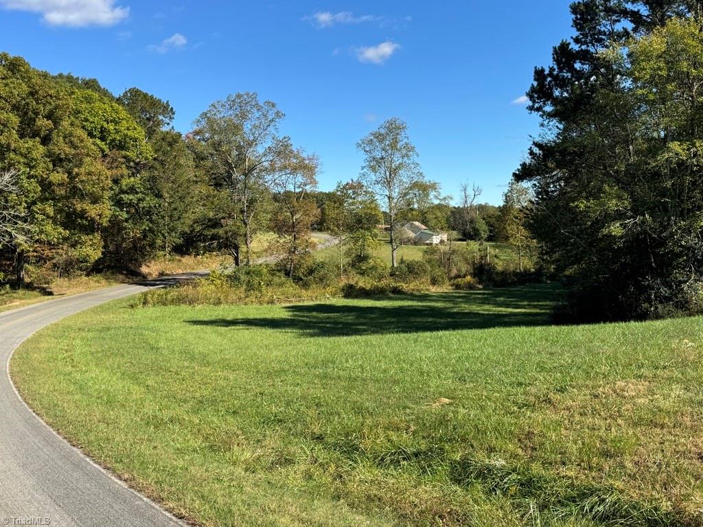 876 Rock Hill Church Road Ararat, NC 27007 - Photo 15 of 29
