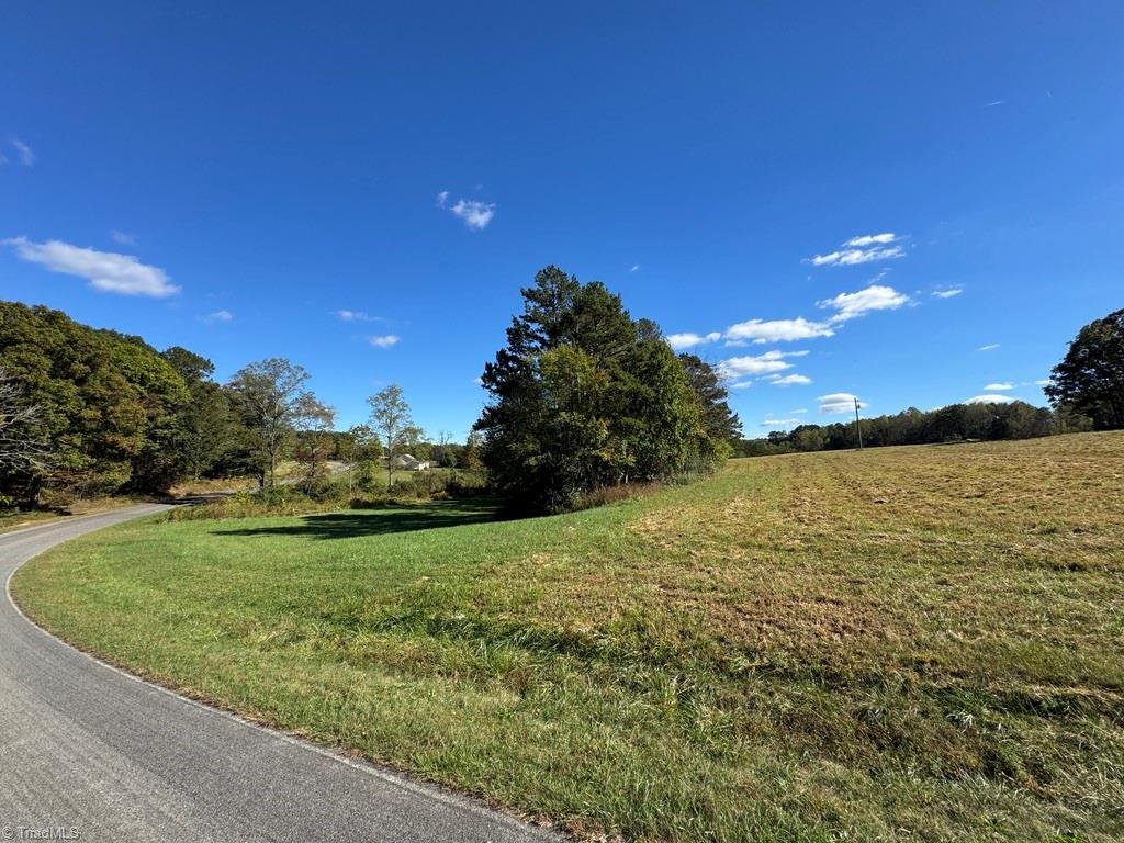 876 Rock Hill Church Road Ararat, NC 27007 - Photo 16 of 29