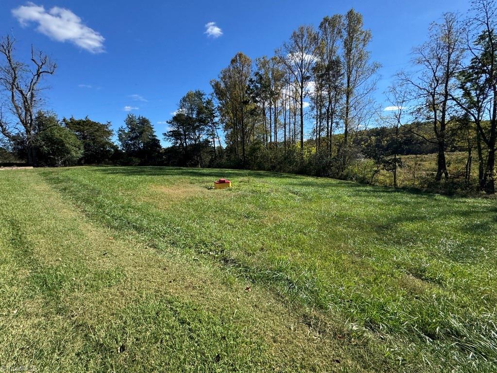 876 Rock Hill Church Road Ararat, NC 27007 - Photo 8 of 29