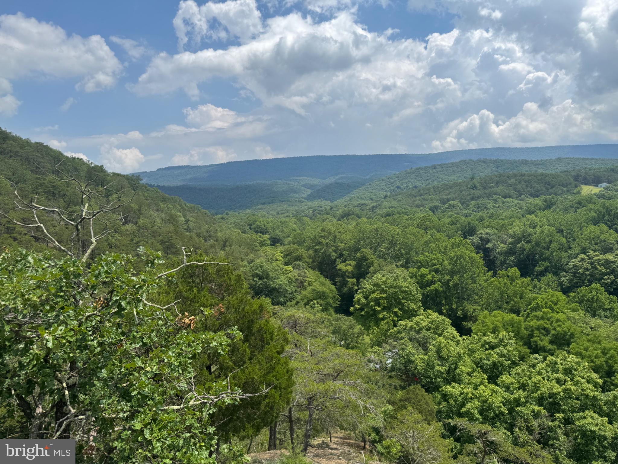 Ginevan Road Paw Paw, WV 25434 - Photo 11 of 15 Gallery Image 11