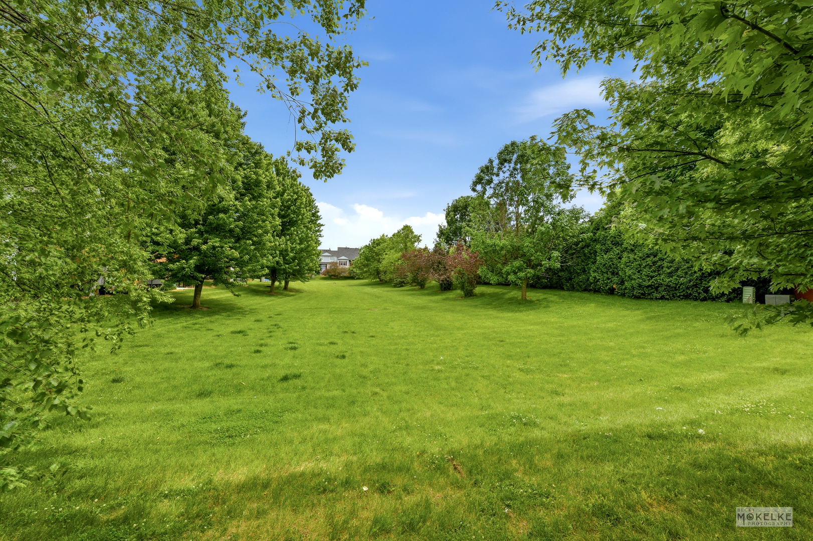 16747 Winding Creek Road Plainfield, IL 60586 - Photo 3 of 32