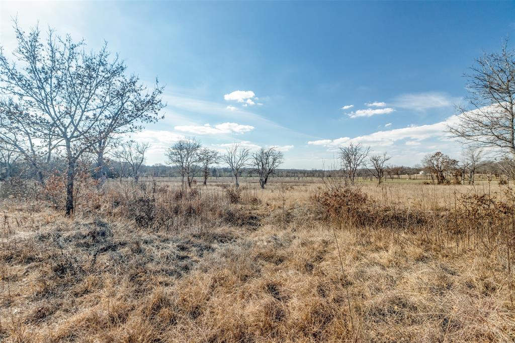 2023 Joe Davis Road Whitewright, TX 75491 - Photo 6 of 16