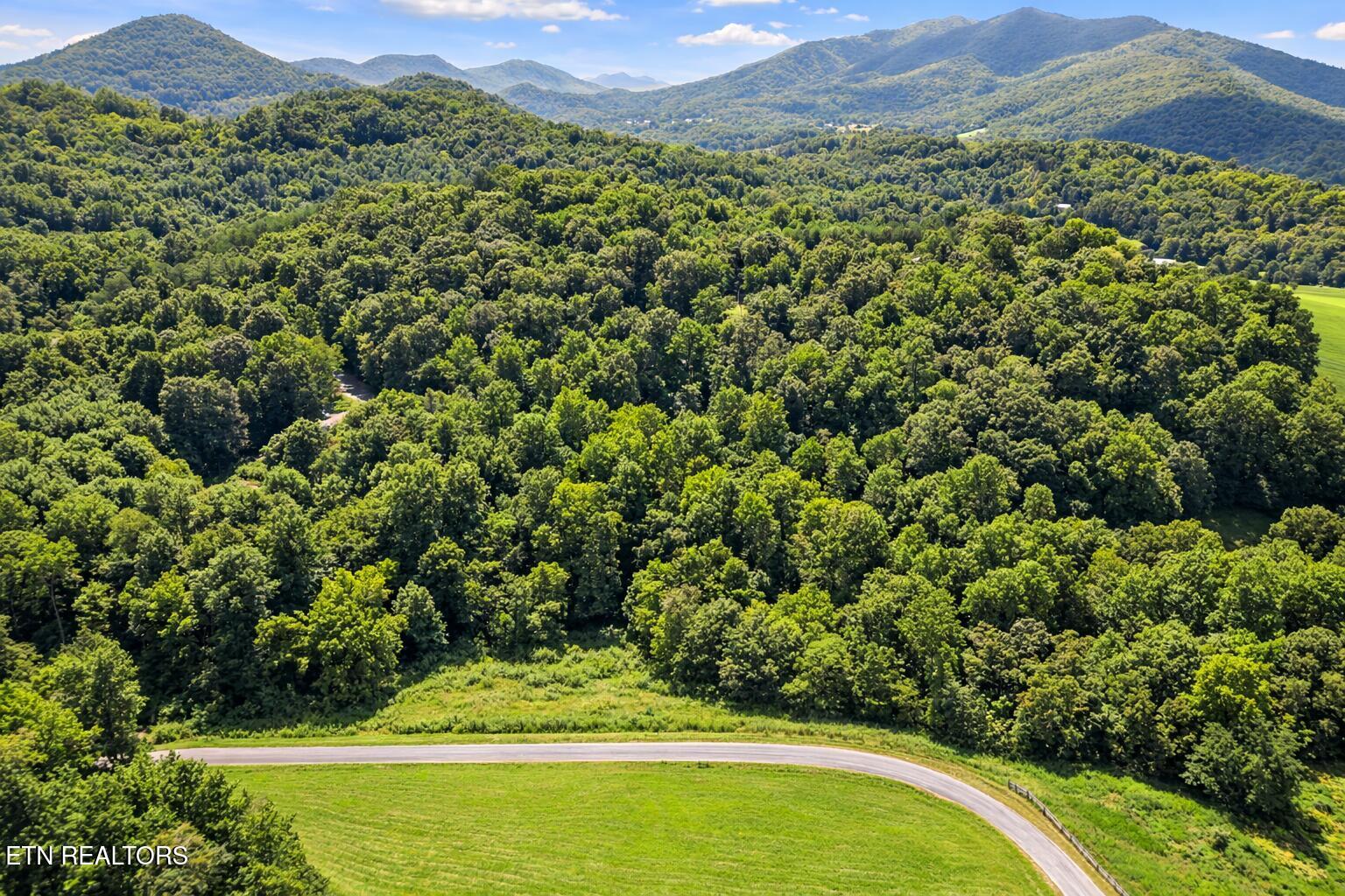 1.9-acres Cecil Davis Road Greeneville, TN 37743 - Photo 2 of 5 278EE783-2978-472D-B36F-E176E069EACE