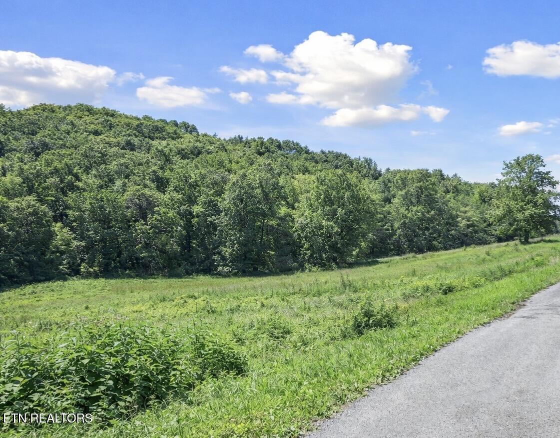 1.9-acres Cecil Davis Road Greeneville, TN 37743 - Photo 4 of 5 14177088-D1C7-40B4-829C-7870BDAD1B6E