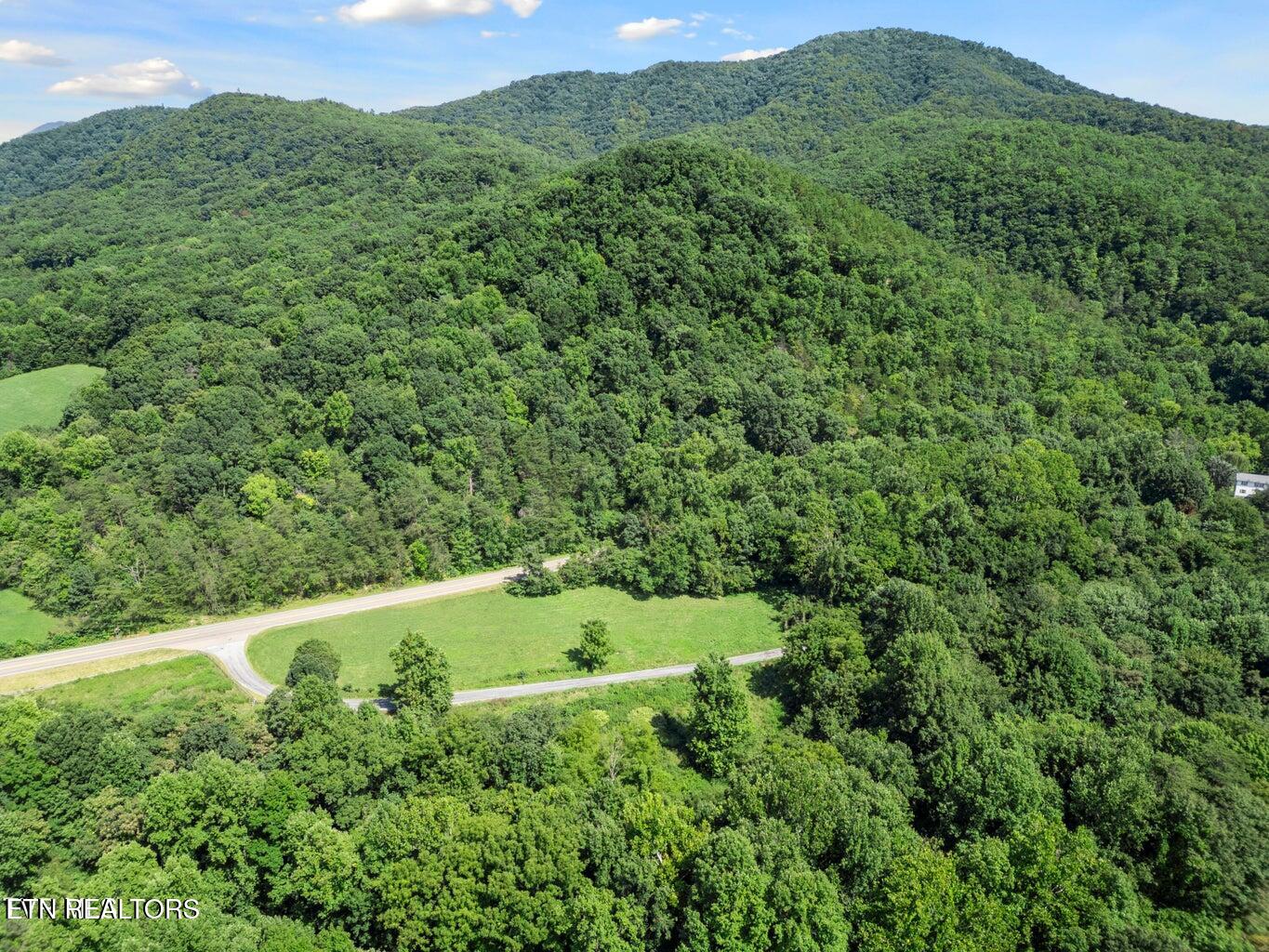 1.9-acres Cecil Davis Road Greeneville, TN 37743 - Photo 5 of 5 20250224153505315308000000-o