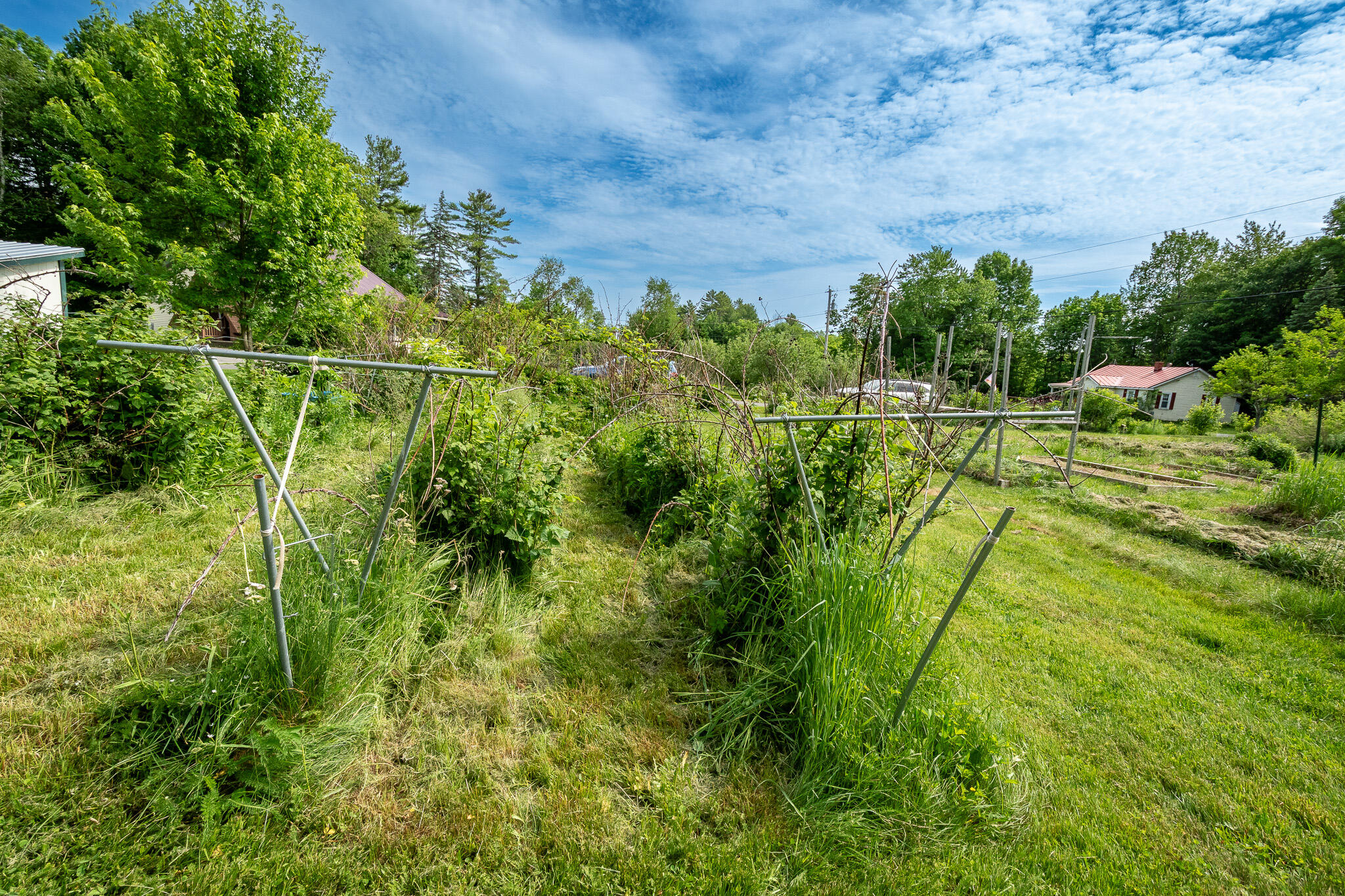 26 Chadbourne Road Harmony, ME 04942 - Photo 70 of 84 DSC_0835