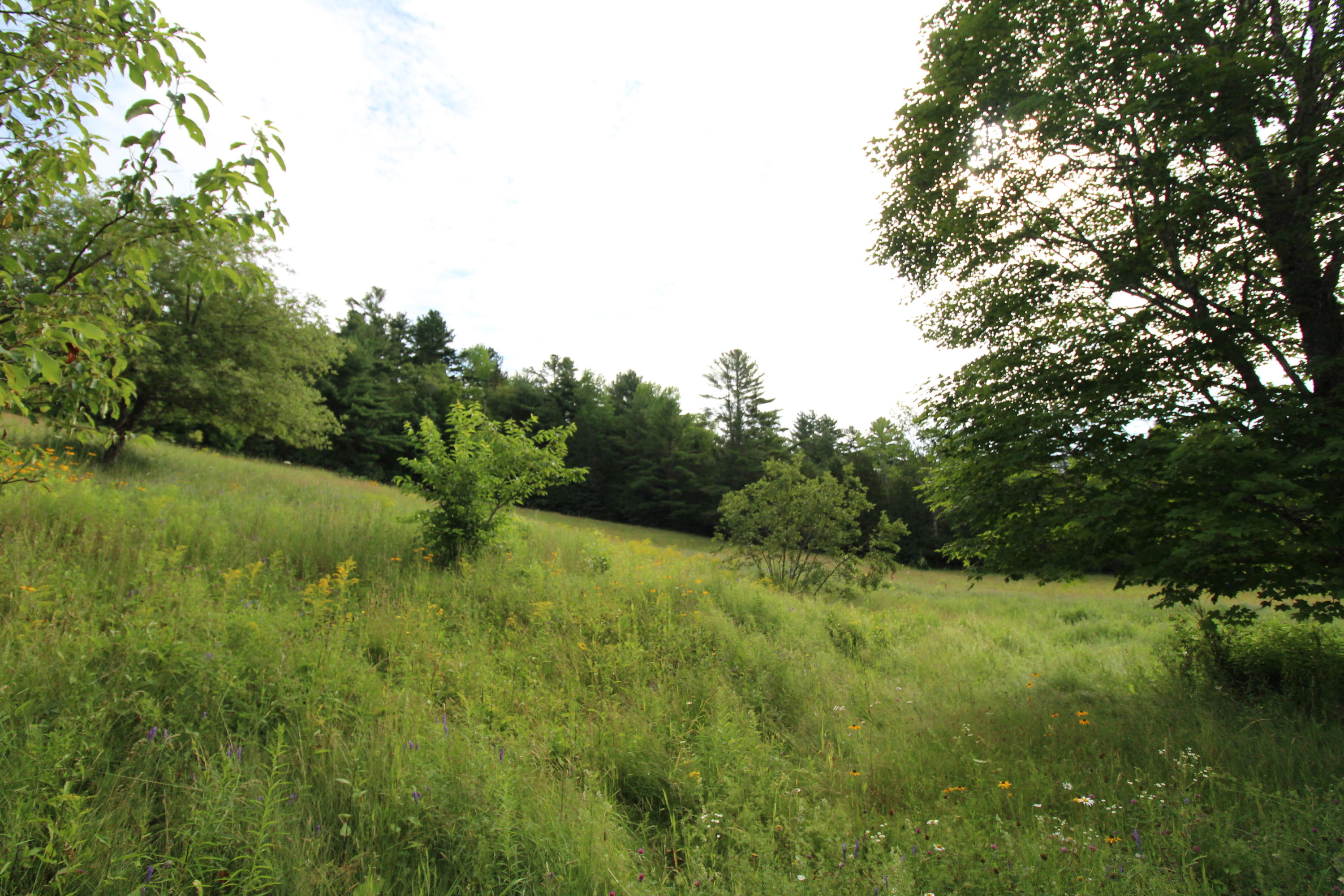 35 Smith Road Ellsworth, ME 04605 - Photo 29 of 32 IMG_0019