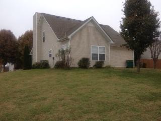 1915 Portway Road Spring Hill, TN 37174 - Photo 13 of 13 Nice size backyard