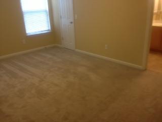 1915 Portway Road Spring Hill, TN 37174 - Photo 5 of 13 Master BR.