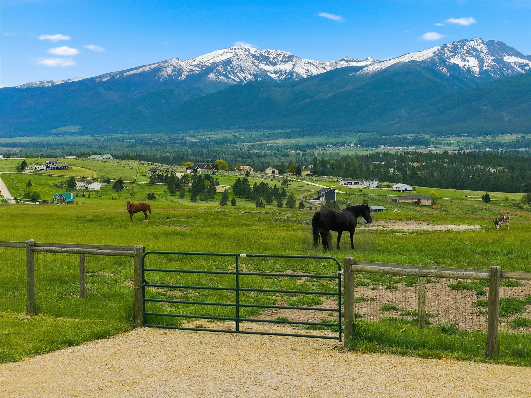 679 Hidden Valley Road North Florence, MT 59833 - Photo 73 of 85 Expansive pastureland with a gravel drive and secure green metal gate