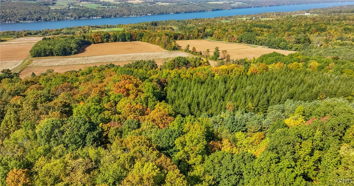 L11 Hall Road Moravia, NY 13118 - Photo 18 of 19