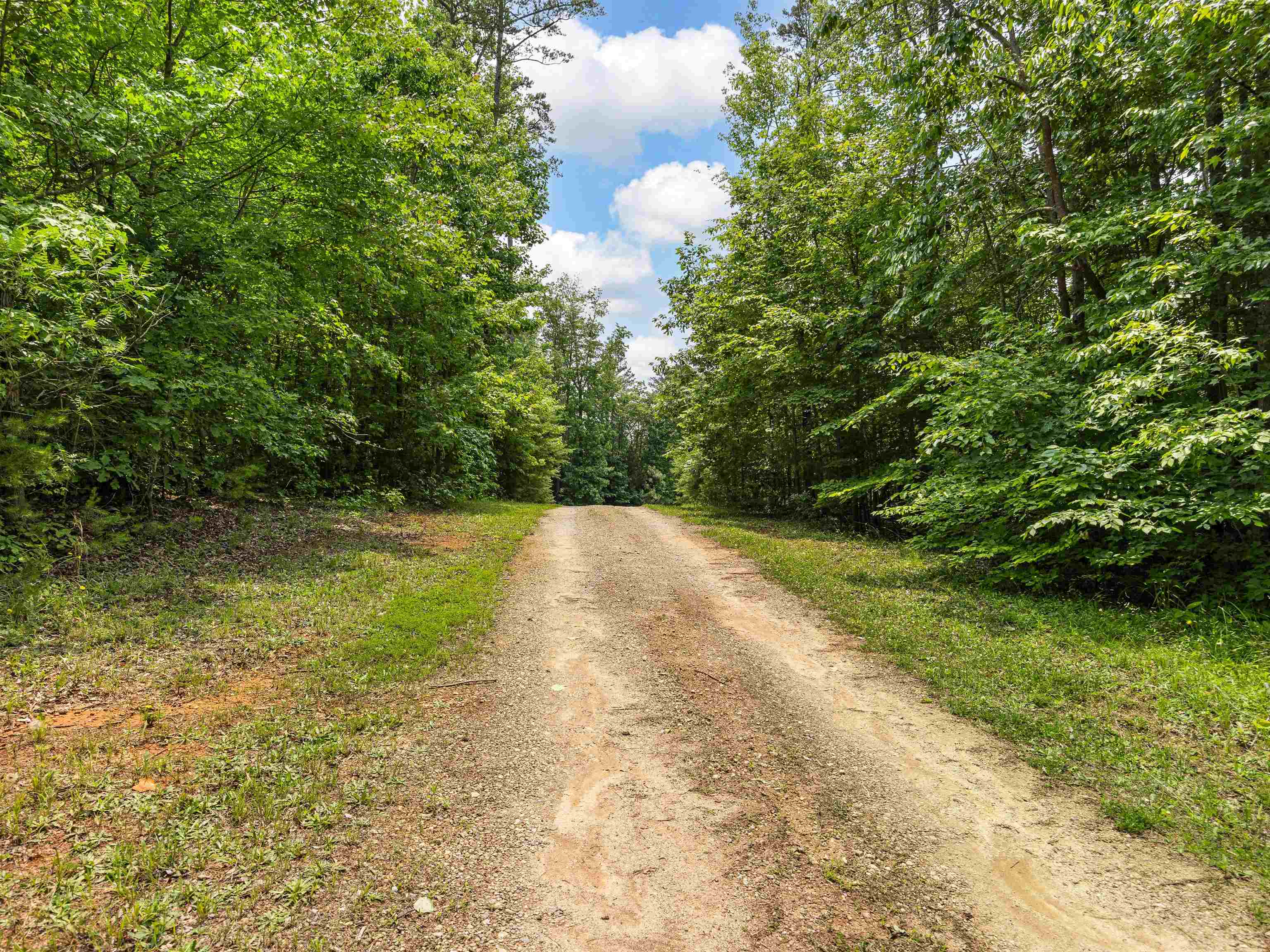 269 Walnut Hill Farm Road Gaffney, SC 29340 - Photo 3 of 35 Gallery Image 3