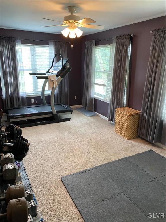 3501 Eton Road Allentown, PA 18104 - Photo 30 of 50 Gallery Image 30