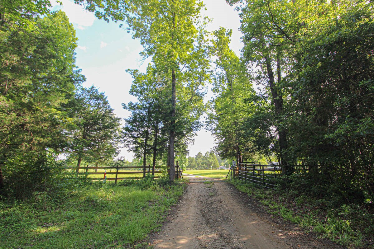 899 J Hickman Road Livingston, TX 77351 - Photo 11 of 48