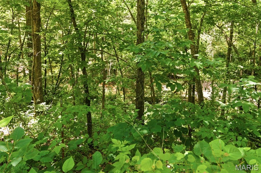 0 Pleasant Hill Road Mountain Grove, MO 65711 - Photo 50 of 51