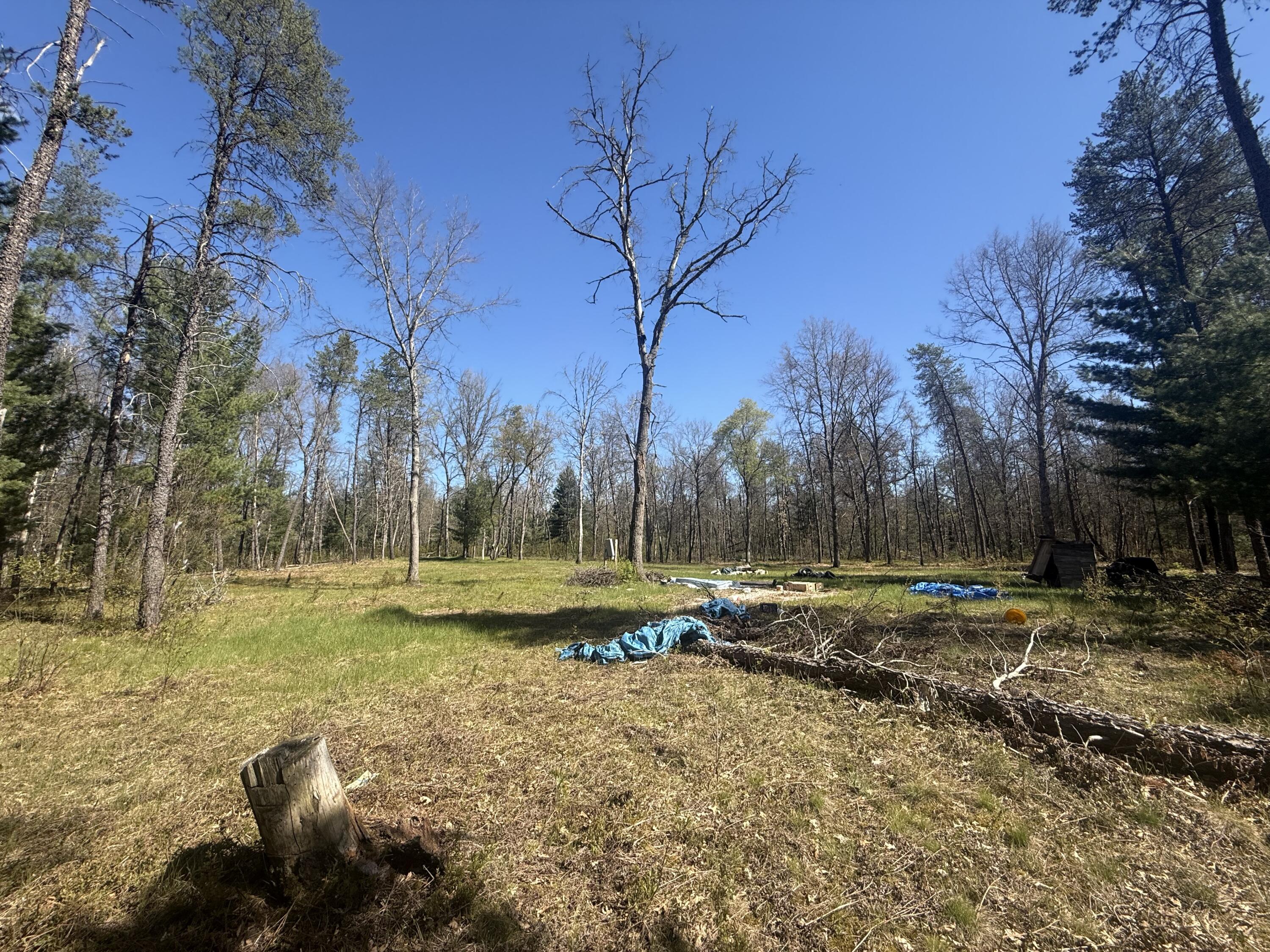 4097 South Michway Road Baldwin, MI 49304 - Photo 2 of 20 IMG_0548