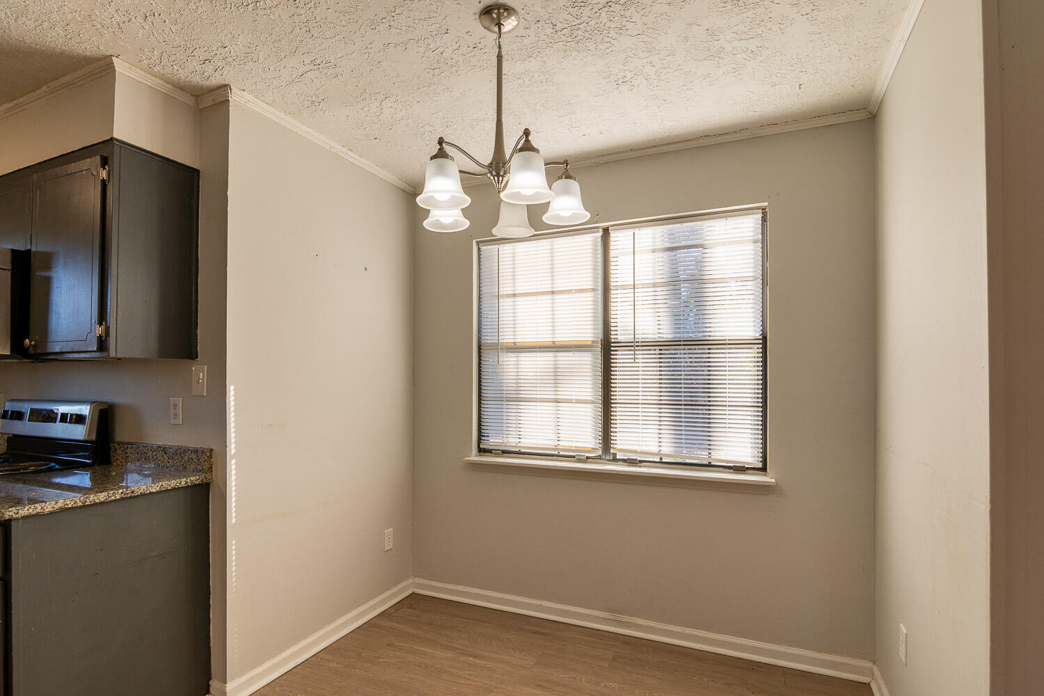 539 Pheasant Run Drive Evans, GA 30809 - Photo 12 of 24 539 Pheasant Run-MLS-12