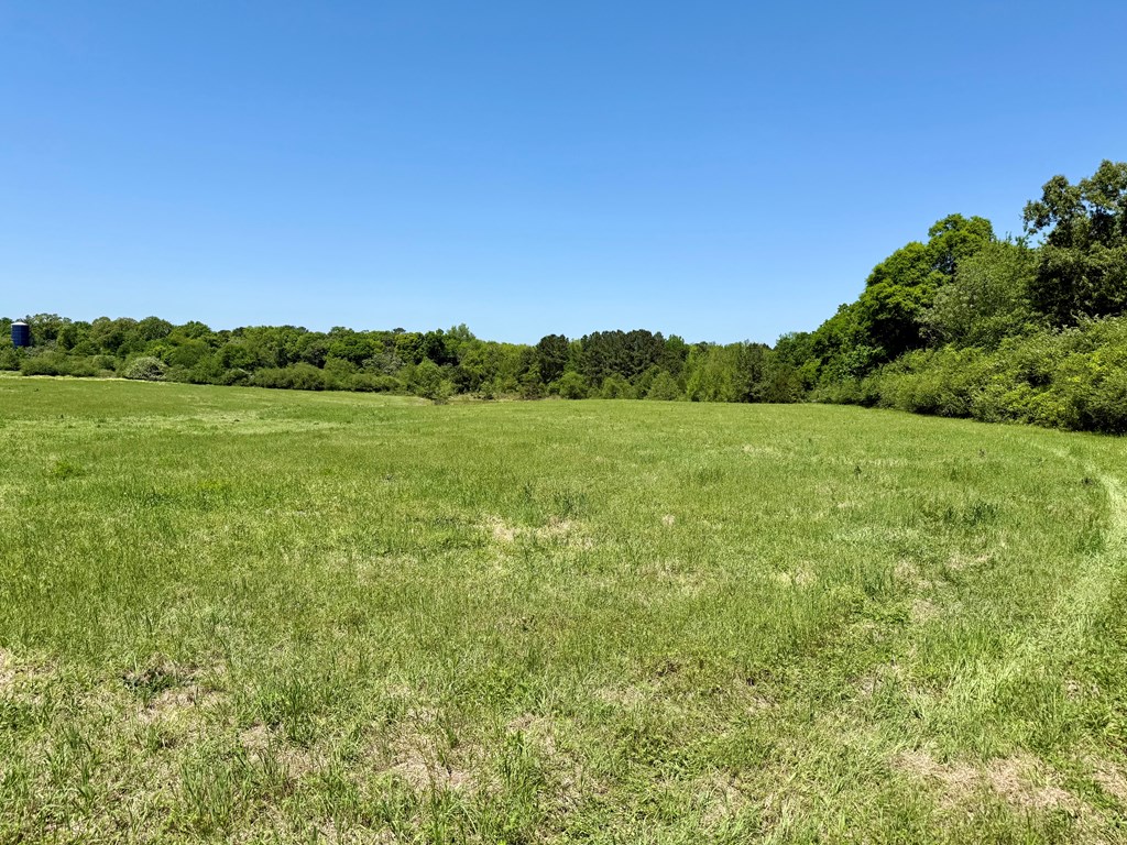12.37-acres Huskey Road Dothan, AL 36303 - Photo 5 of 16