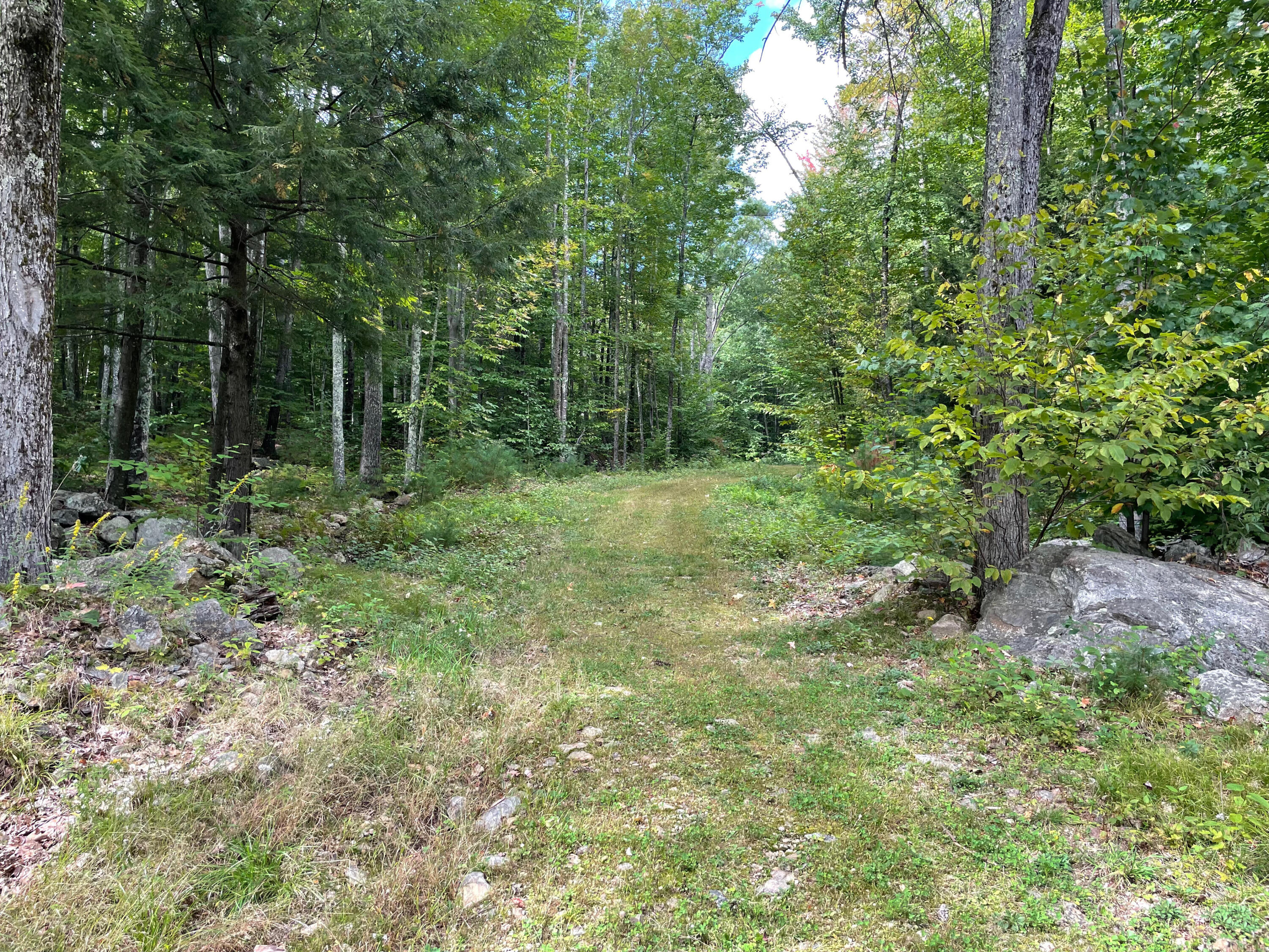 219 Deering Neighborhood Road Springvale, ME 04083 - Photo 25 of 71 IMG_2660