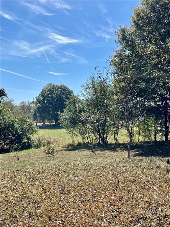 442 Herrington Bend Road Northwest Calhoun, GA 30701 - Photo 16 of 16