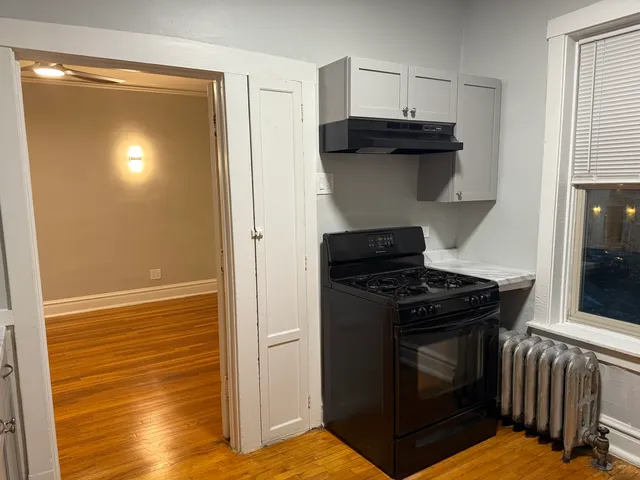 $1,450 | 229 Washington Boulevard, Unit 1S, Oak Park, IL 60302