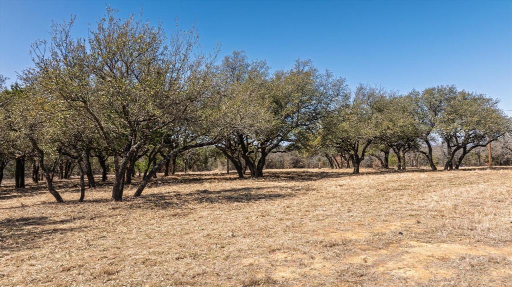 1900 Coleman Ranch Road Tolar, TX 76476 - Photo 6 of 10 a view of empty space with large trees