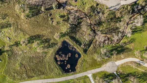 view of a tree with yard