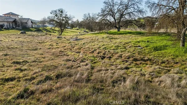 a view of yard with green space