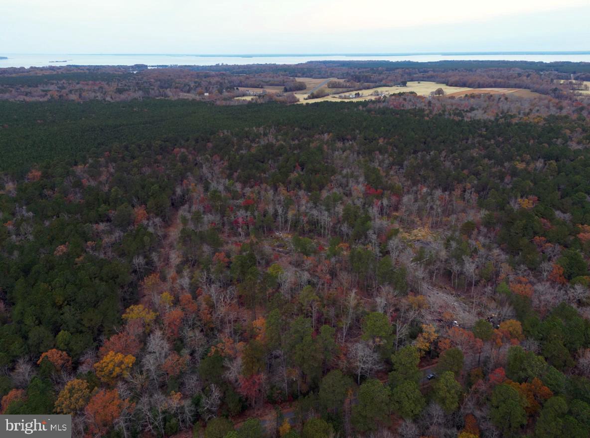 0 Erica Road Montross, VA 22520 - Photo 4 of 8 a view of city and mountain