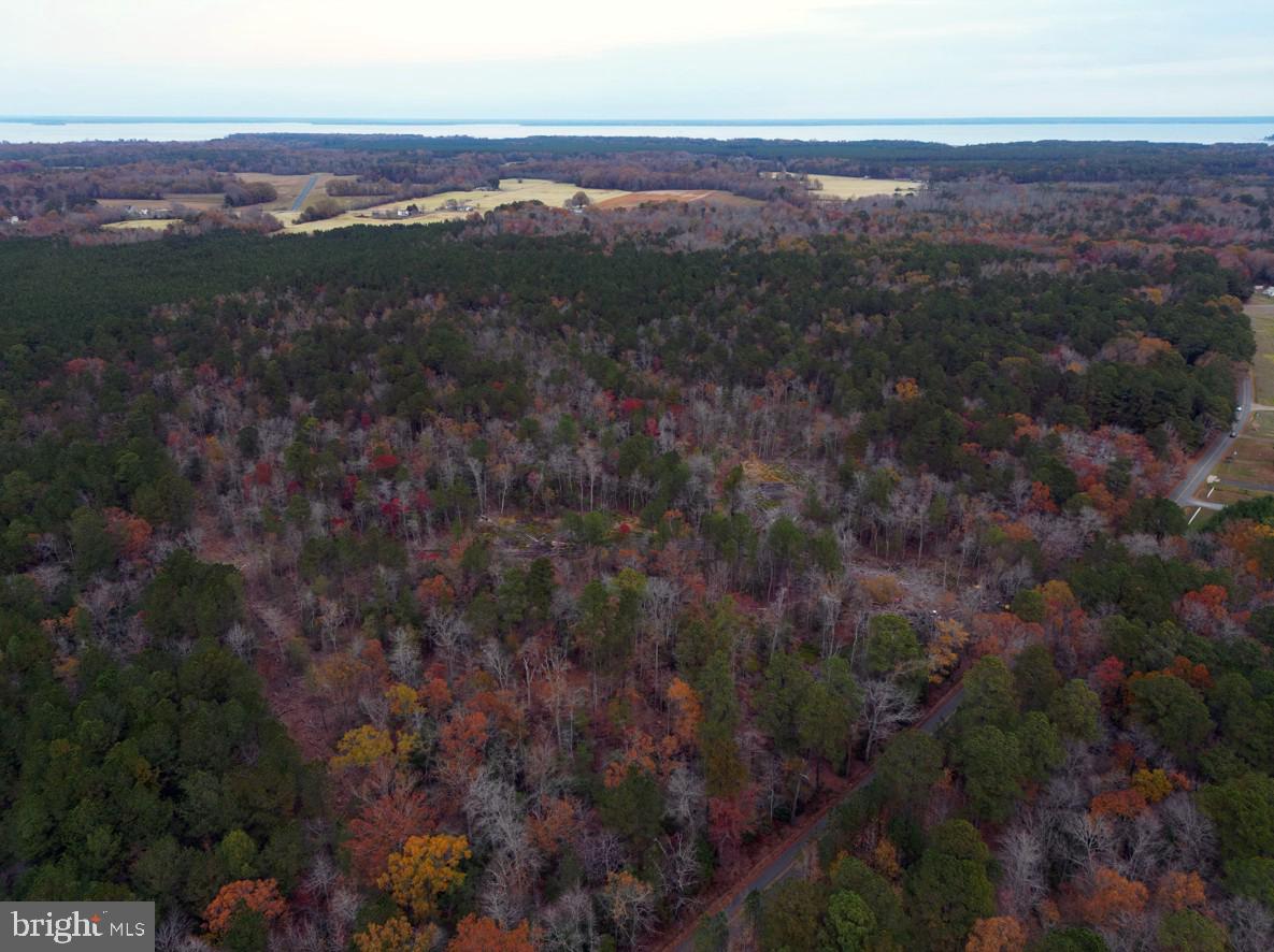 0 Erica Road Montross, VA 22520 - Photo 5 of 8 a view of city and mountain