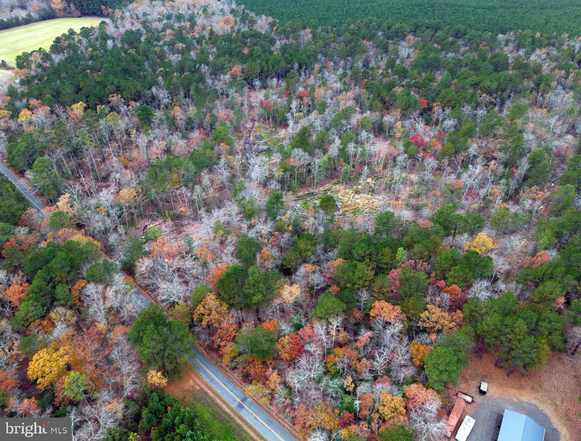 0 Erica Road Montross, VA 22520 - Photo 7 of 8