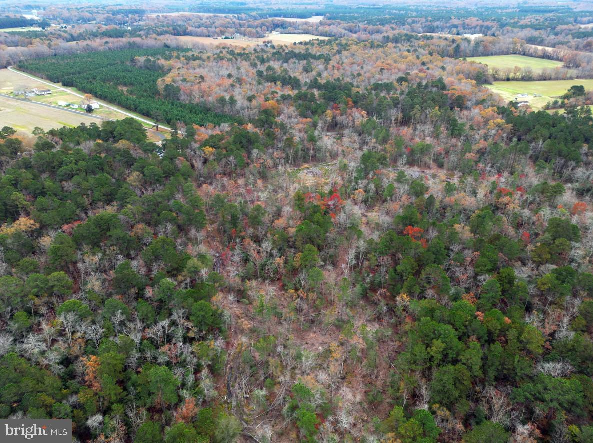 0 Erica Road Montross, VA 22520 - Photo 8 of 8 a view of a field with trees in the background
